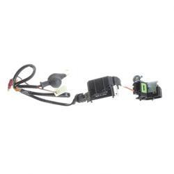 361489: Aftermarket Tennant Ignitor