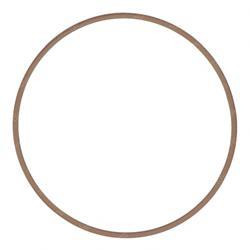 70022194: Aftermarket JLG Ring - Bu