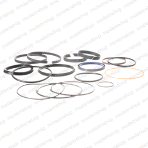 7-900-21: Aftermarket Genie Seal Kit / Cylinder