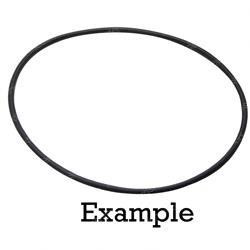923588: Aftermarket Allis Chalmers/Tusk O-ring