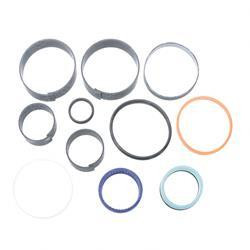 L99859: Aftermarket Mustang Seal Kit/lift Rosenb