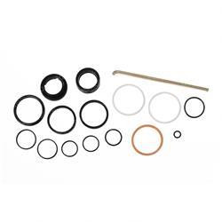 RT01003994: Aftermarket Caterpillar/Towmotor Forklift Seal Kit - Reach Cylinder