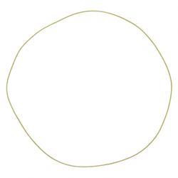 209-117: Aftermarket Teledyne Princeton O-ring