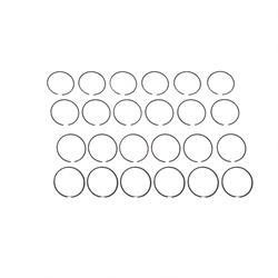 220002410: Aftermarket Yale Piston Ring Set 1 Cyl 0.75