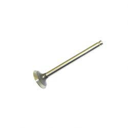 220003305: Aftermarket Yale Valve - Exhaust