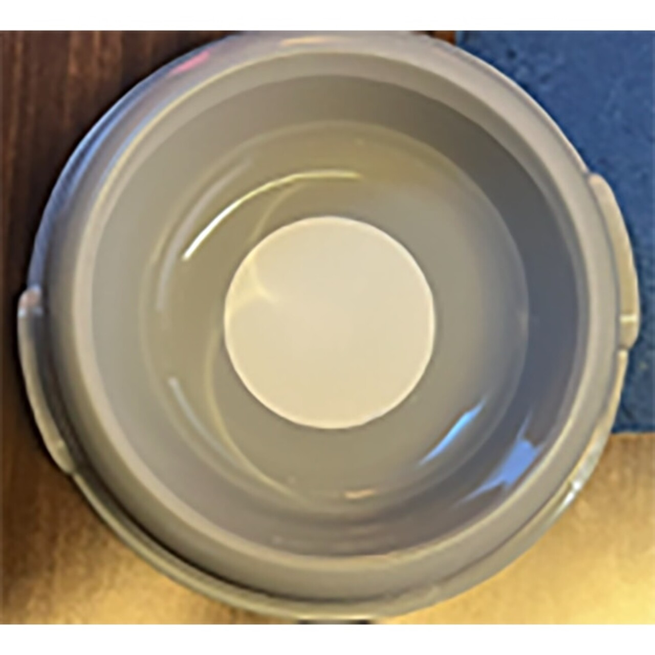 EveryYay Large Grey Dog Bowl (Bay 16D)