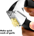 OXO Good Grips Garlic Press (F25)