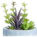 Essential Oil Diffuser, Artificial Succulent Plants Potted Diffuser (Bay 6-C)