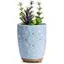 Essential Oil Diffuser, Artificial Succulent Plants Potted Diffuser (Bay 6-C)