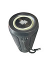 Timu Portable Bluetooth Speaker – Used – Sold AS IS