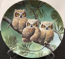 Edwin M Knowles 8 Collectible Screech Owl plates (BK-2)