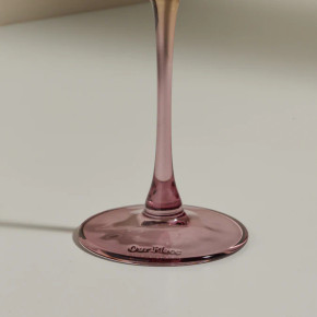 Our Place Tinted Wine Glass Set (Bay 5-E)