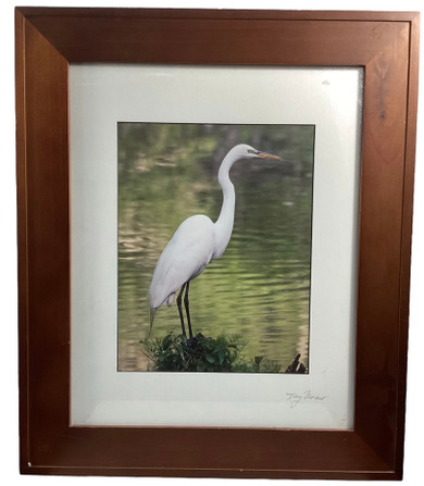 Framed Photographic Art