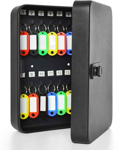 Gonioa 28 Key Cabinet Steel Security Lock Box with Combination Lock (Bay 5-D)