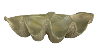 Fossilized Clam Decorative Object