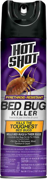 Hot Shot Bed Bug Killer 17.5 oz. Aerosol  (Bay 16-C)