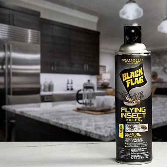 Black Flag 18 oz. Flying Insect Killer