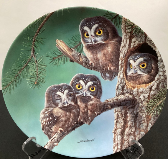 Edwin M Knowles 8 Collectible Screech Owl plates (BK-2)