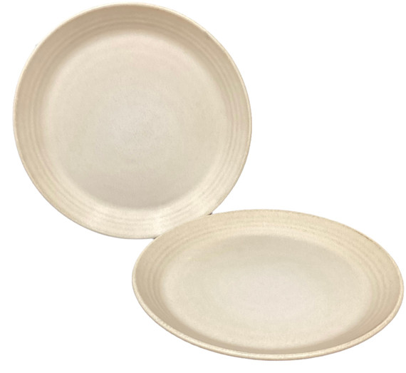 Set of Larkin Reactive Glaze Stoneware Dinner Plates