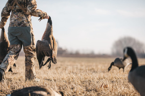 {"colorName":"Optifade Waterfowl Marsh","colorCode":"WL","number":"32","isModel":false}