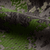 {"colorName":"Optifade Cover","colorCode":"COV","number":"10","isModel":false}