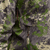 {"colorName":"Optifade Cover","colorCode":"COV","number":"08","isModel":false}