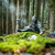 {"colorName":"Optifade Subalpine","colorCode":"SA","number":"10","isModel":false}