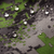 {"colorName":"Optifade Cover","colorCode":"COV","number":"09","isModel":false}