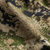 {"colorName":"Optifade Subalpine","colorCode":"SA","number":"11","isModel":false}