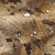 {"colorName":"Optifade Waterfowl Marsh","colorCode":"WL","number":"14","isModel":false}