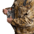 {"colorName":"Optifade Waterfowl Marsh","colorCode":"WL","number":"07","isModel":false}