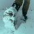 {"colorName":"Coyote", "colorCode":"CY", "number":"kfi3", "isModel":false,"isFeatured":"3"}