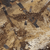 {"colorName":"Optifade Waterfowl Marsh","colorCode":"WL","number":"10","isModel":false}