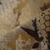 {"colorName":"Optifade Waterfowl Marsh","colorCode":"WL","number":"11","isModel":false}