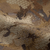 {"colorName":"Optifade Waterfowl Marsh","colorCode":"WL","number":"13","isModel":false}