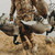 {"colorName":"Optifade Waterfowl Marsh","colorCode":"WL","number":"13","isModel":false}