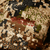 {"colorName":"Optifade Subalpine","colorCode":"SA","number":"10","isModel":false}
