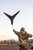 {"colorName":"Optifade Waterfowl Marsh","colorCode":"WL","number":"32","isModel":false}