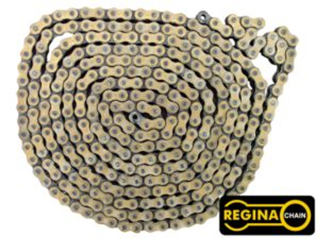#35 Regina Gold Chain (10ft)