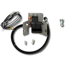 3 HP Stock Briggs Coil