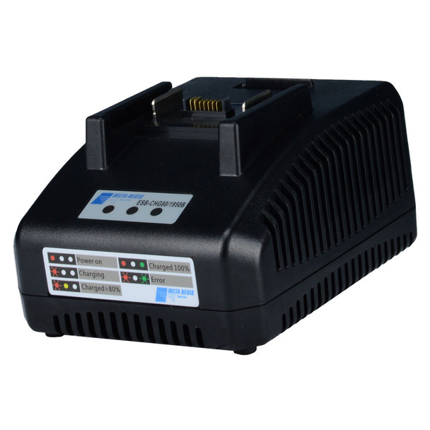 Delta Regis ESB-CHG80/1950B Battery Charger, 90 - 240 VDC In, 21VDC, 3.2A Out