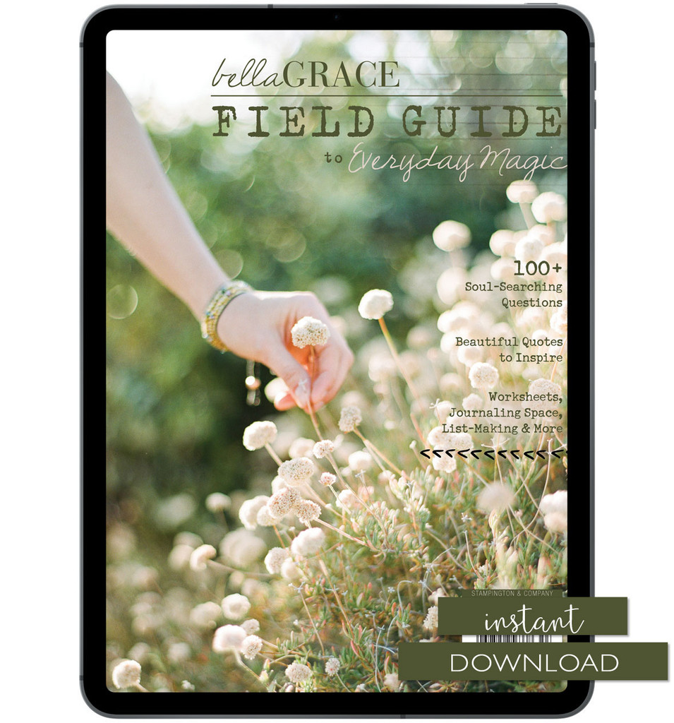 Field Guide to Everyday Magic Issue 6 Instant Download