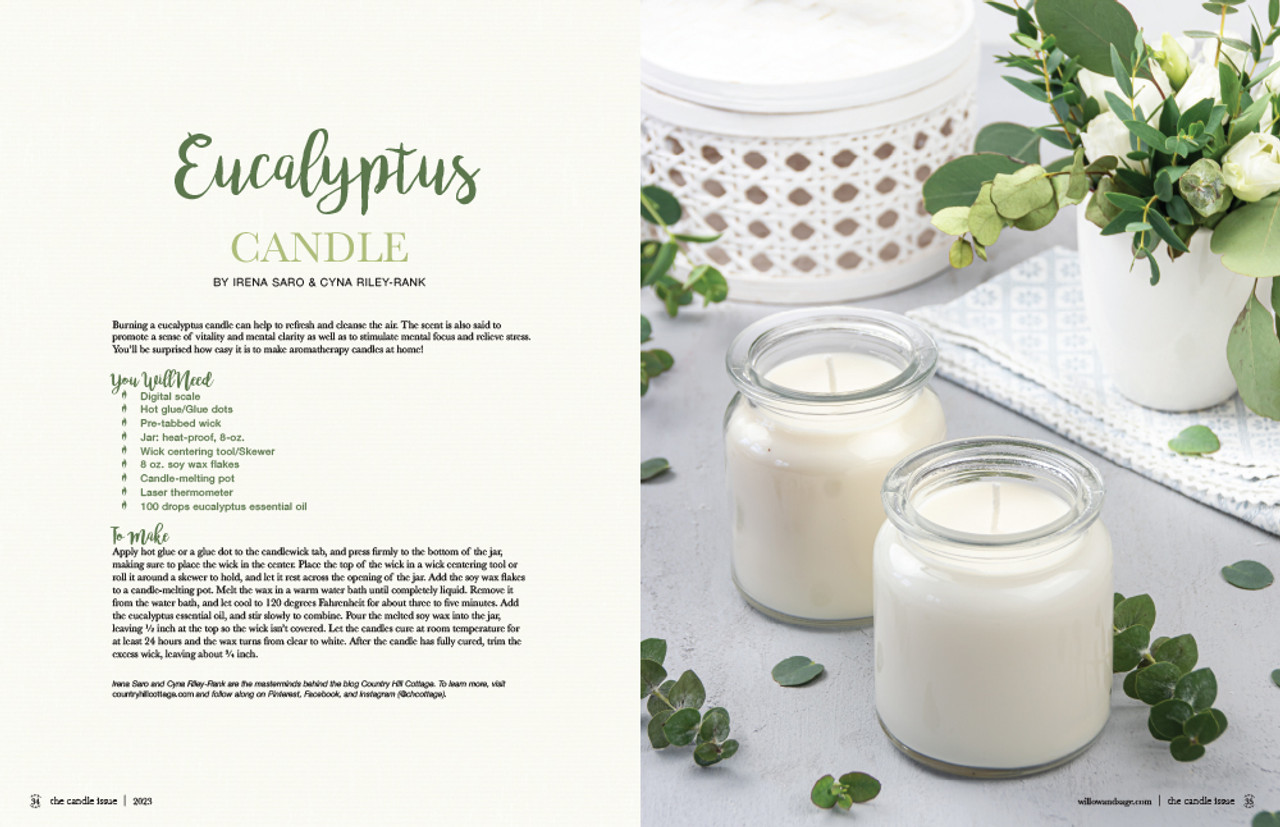 Willow and Sage The Candle Issue Volume 3