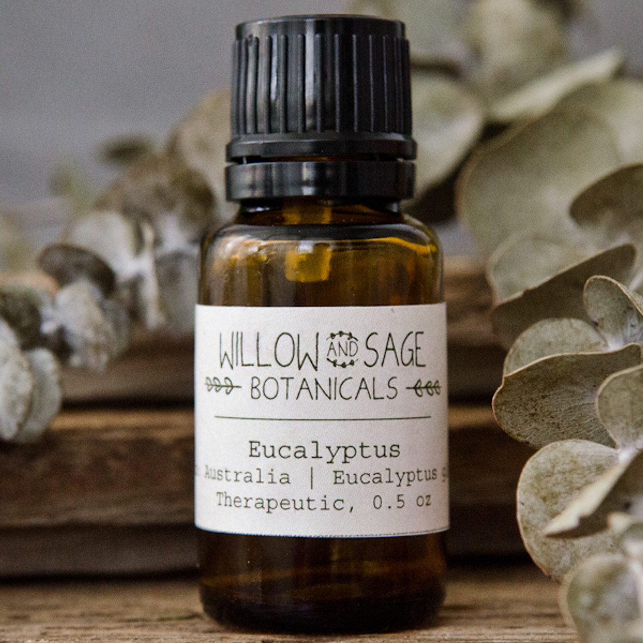 Eucalyptus Essential Oil – MOXĒ