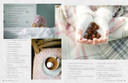 Bella Grace Subscription Offer
