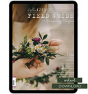 Field Guide to Everyday Magic Issue 13 Instant Download