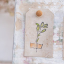 DIY Forgotten Garden Specimen Board Project
