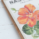 Seed Packet Project