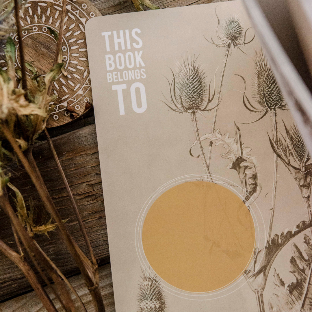 You Always Catch the Light Spiral Notebook by Papaya Art Stampington