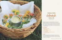 Willow and Sage Spring 2020 Instant Download